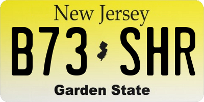 NJ license plate B73SHR