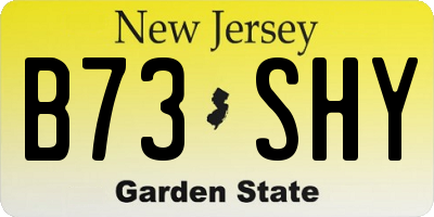 NJ license plate B73SHY