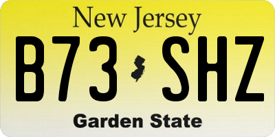 NJ license plate B73SHZ