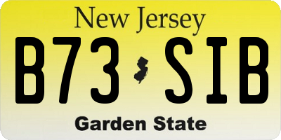 NJ license plate B73SIB