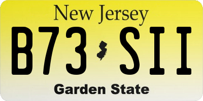 NJ license plate B73SII