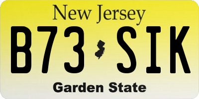 NJ license plate B73SIK