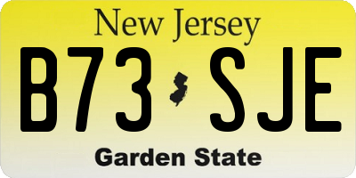 NJ license plate B73SJE