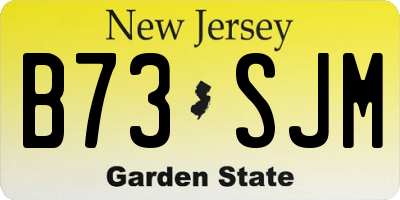 NJ license plate B73SJM