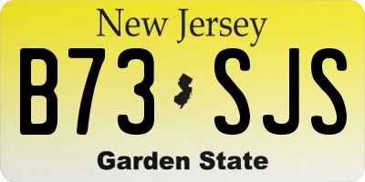 NJ license plate B73SJS