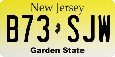 NJ license plate B73SJW