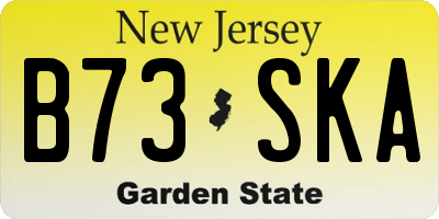 NJ license plate B73SKA