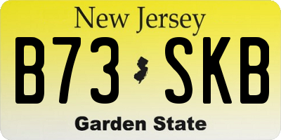 NJ license plate B73SKB