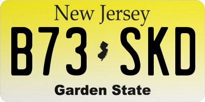 NJ license plate B73SKD