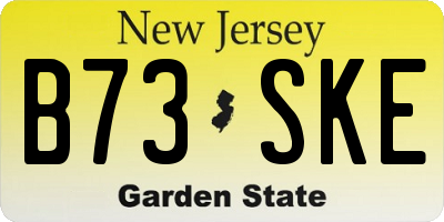 NJ license plate B73SKE