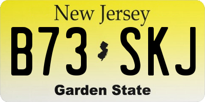 NJ license plate B73SKJ