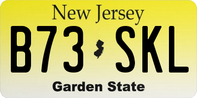 NJ license plate B73SKL