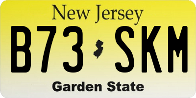 NJ license plate B73SKM