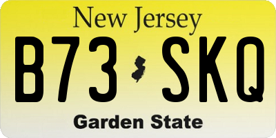 NJ license plate B73SKQ