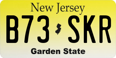 NJ license plate B73SKR