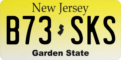 NJ license plate B73SKS