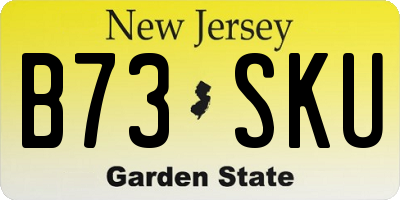 NJ license plate B73SKU
