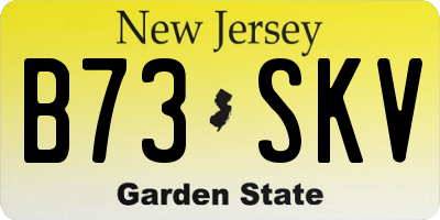 NJ license plate B73SKV