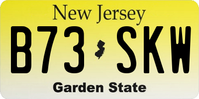 NJ license plate B73SKW