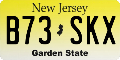 NJ license plate B73SKX
