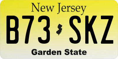 NJ license plate B73SKZ