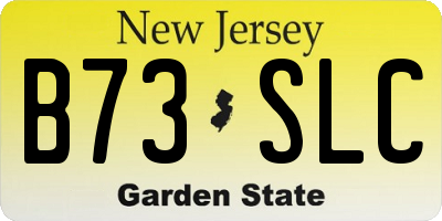 NJ license plate B73SLC