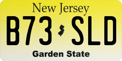 NJ license plate B73SLD