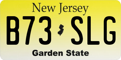 NJ license plate B73SLG