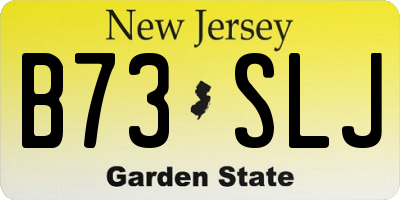 NJ license plate B73SLJ