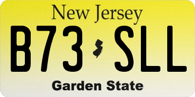NJ license plate B73SLL