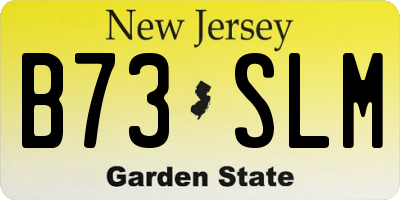 NJ license plate B73SLM