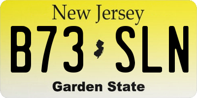 NJ license plate B73SLN