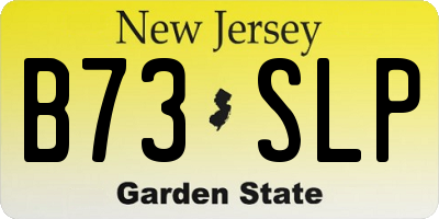 NJ license plate B73SLP