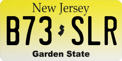 NJ license plate B73SLR
