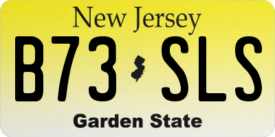 NJ license plate B73SLS