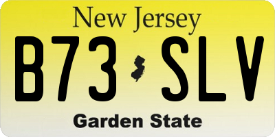 NJ license plate B73SLV