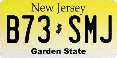 NJ license plate B73SMJ