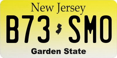 NJ license plate B73SMO