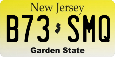NJ license plate B73SMQ