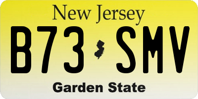 NJ license plate B73SMV