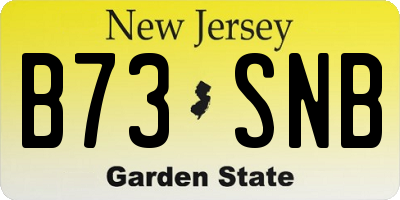 NJ license plate B73SNB