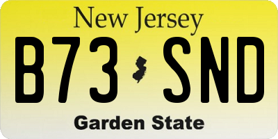 NJ license plate B73SND