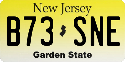 NJ license plate B73SNE