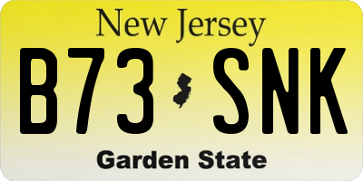 NJ license plate B73SNK