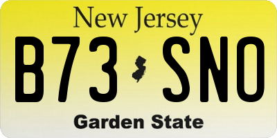 NJ license plate B73SNO