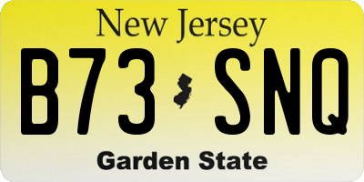 NJ license plate B73SNQ