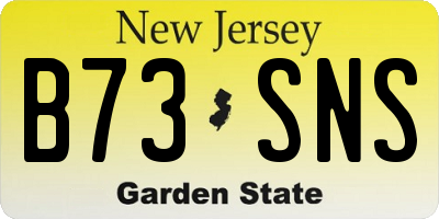 NJ license plate B73SNS