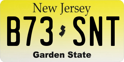 NJ license plate B73SNT