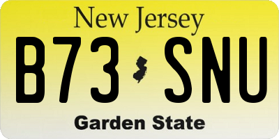 NJ license plate B73SNU