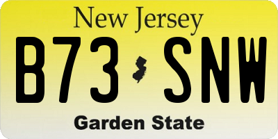 NJ license plate B73SNW